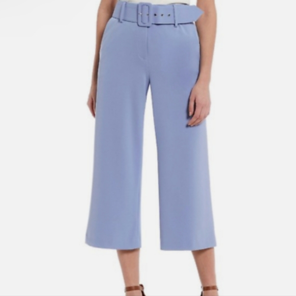 Gianni Bini Pants - NWOT Gianni Bini, size 0, Light Blue, Cropped, Wide Leg, High Ride Gaucho